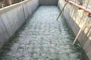 延边科领水产加工污水处理案例